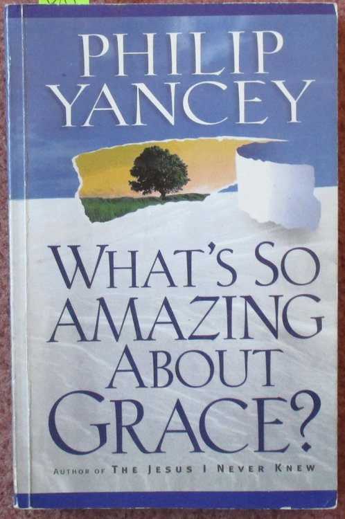 What's So Amazing About Grace