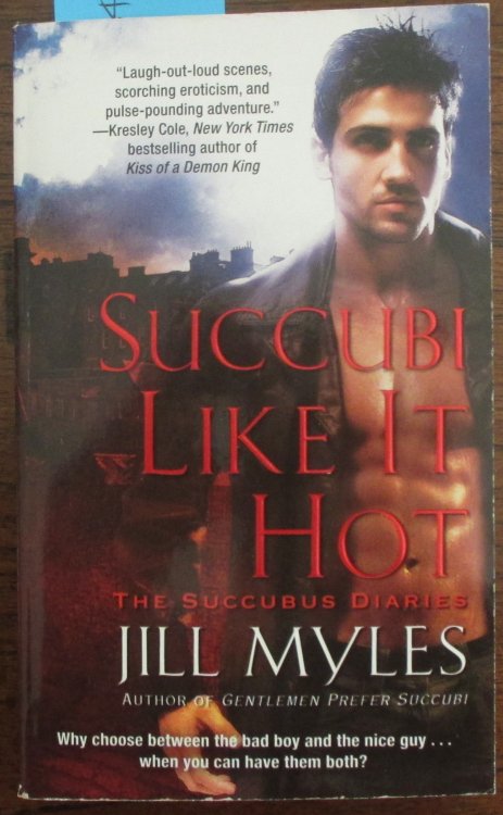 Succubi Like It Hot: The Succubus Diaries