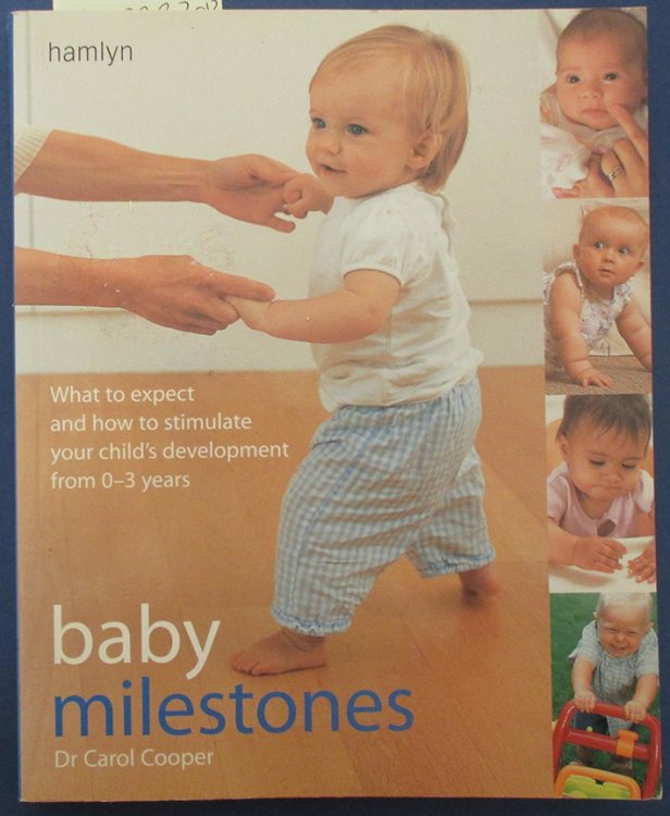 Baby Milestones: What To Expect and How to Stimulate Your Child's Development from 0-3 Years