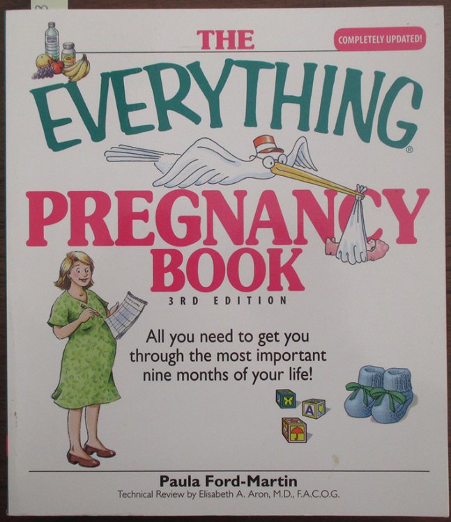 Everything Pregnancy Book, The: All You Need to Get You Through the Most Important Nine Months of Your Life!