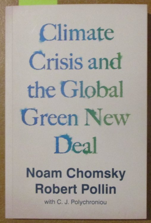 Climate Crisis and the Global Green New Deal: The Political Economy of Saving the Planet