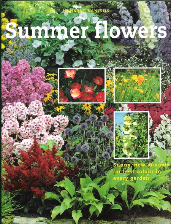 Summer Flowers