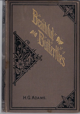 Beautiful Butterflies Described and Illustrated with the History of a Butterfly