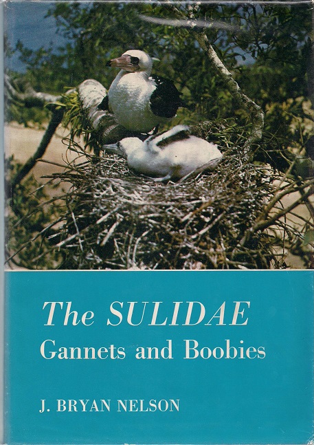 The Sulidae: Gannets and Boobies (Aberdeen University studies series)