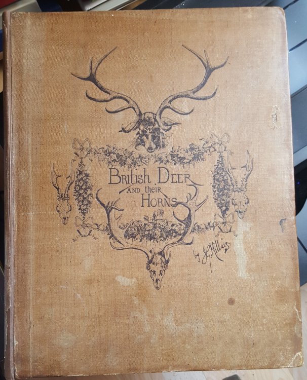British Deer And Their Horns.