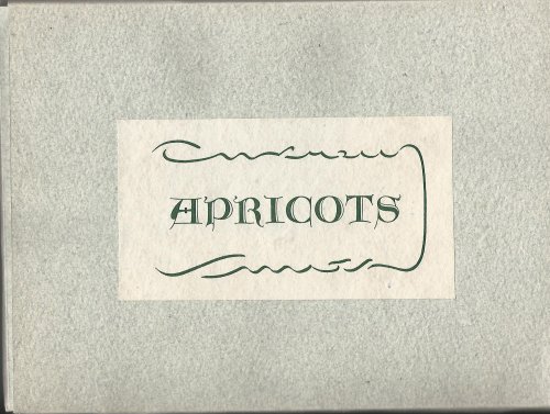 "Apricots" - Handmade Paper.