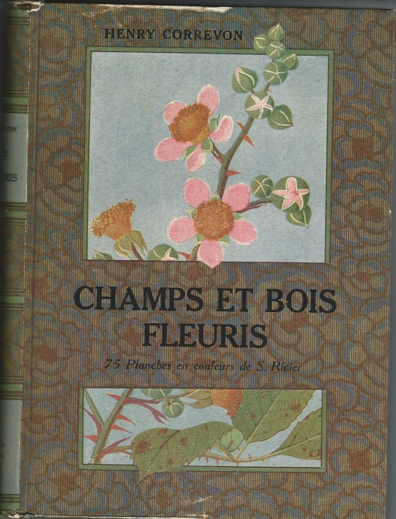 Champs Et Bois Fleuris.
