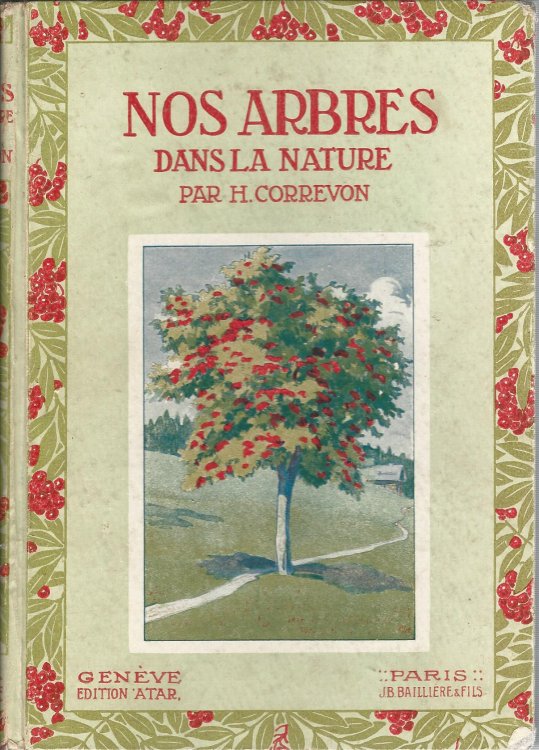 Nos Arbres Dans La Nature.