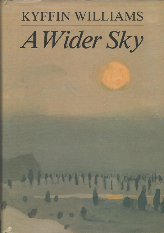 A Wider Sky