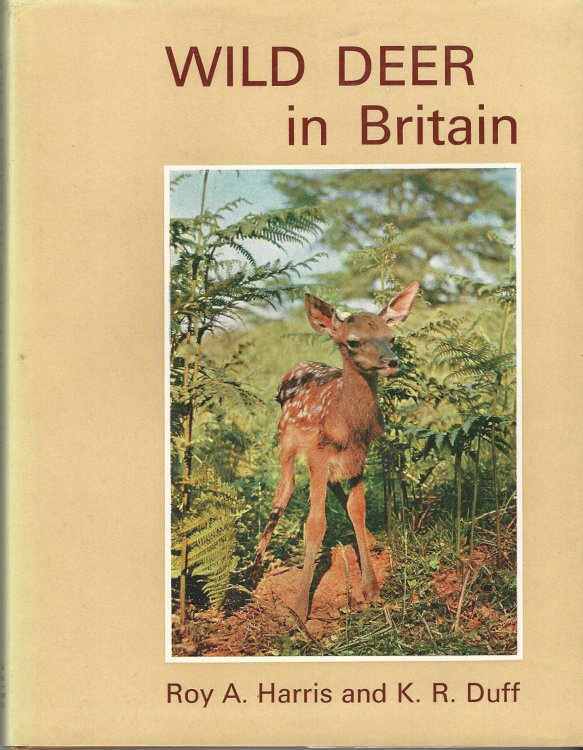 Wild Deer in Britain
