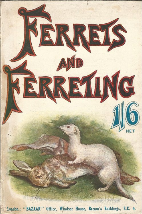 Ferrets & Ferreting: A Practical Manual on the Breeding, Managing, Training and Working of Ferrets.