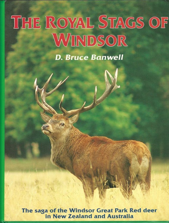 The Royal Stags of Windsor