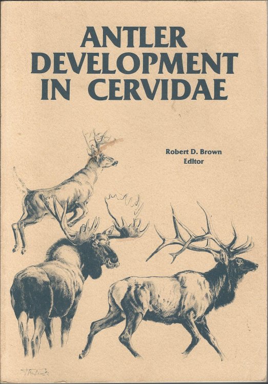 Antler Development in Cervidae.
