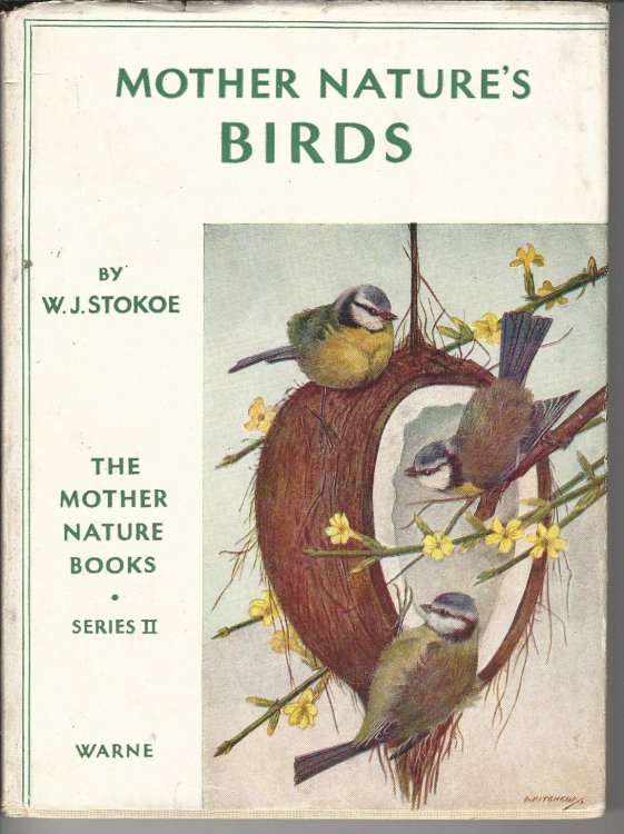 Mother Nature's Birds.