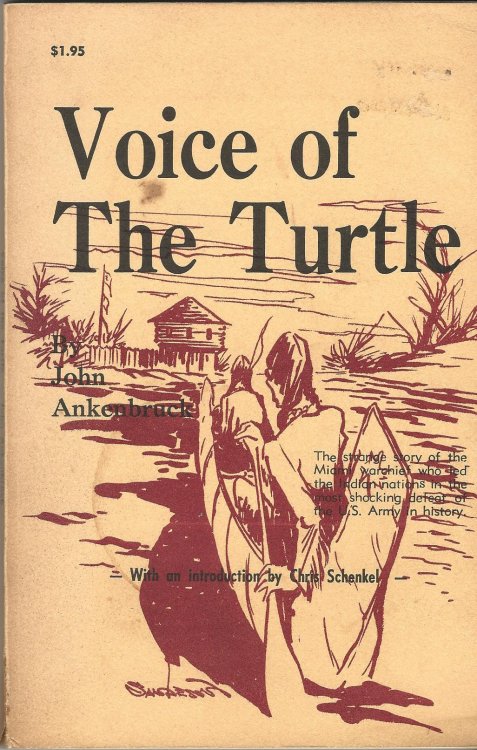 Voice of The Turtle