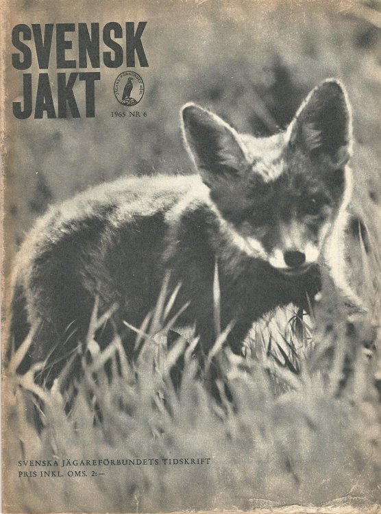 Svensk Jakt 1965 NR. 6