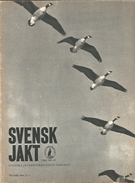Svensk Jakt 1965 NR. 10