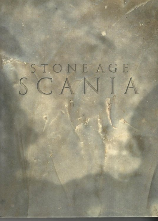 Stone Age Scania (Riksantikvarieambetets Forlag Skrifter)