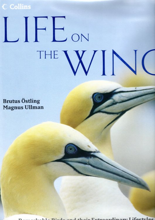 Life on the Wing: Remarkable Birds and their Extraordinary Lives