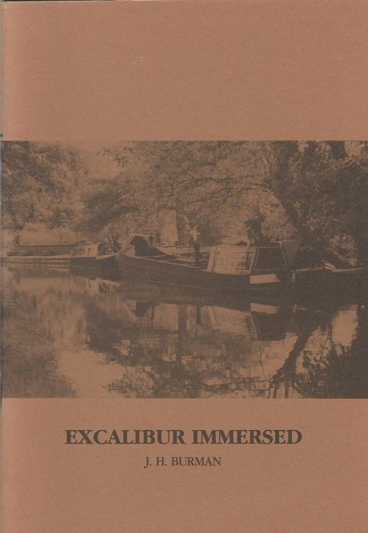 Excalibur Immersed