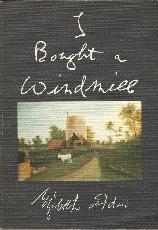 I Bought a Windmill