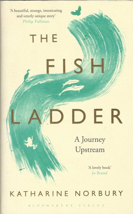 The Fish Ladder: A Journey Upstream