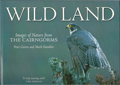 Wild Land : A Photographic Journey Through the Cairngorms