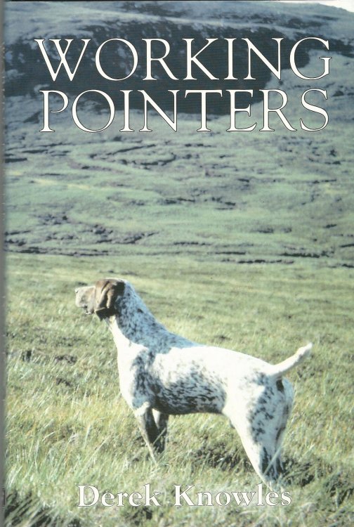 Working Pointers