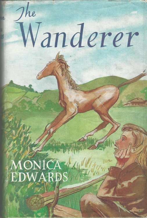 The Wanderer