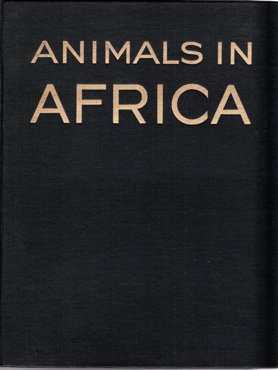 Animals in Africa