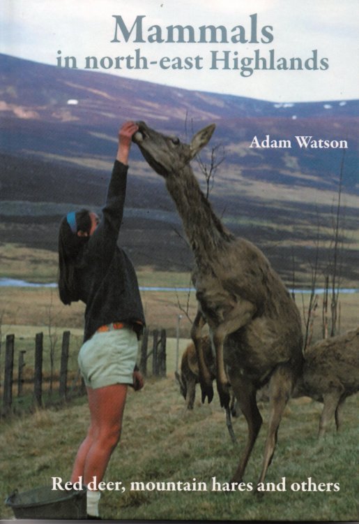 Mammals in north-east highlands: Red deer, mountain hares and others.