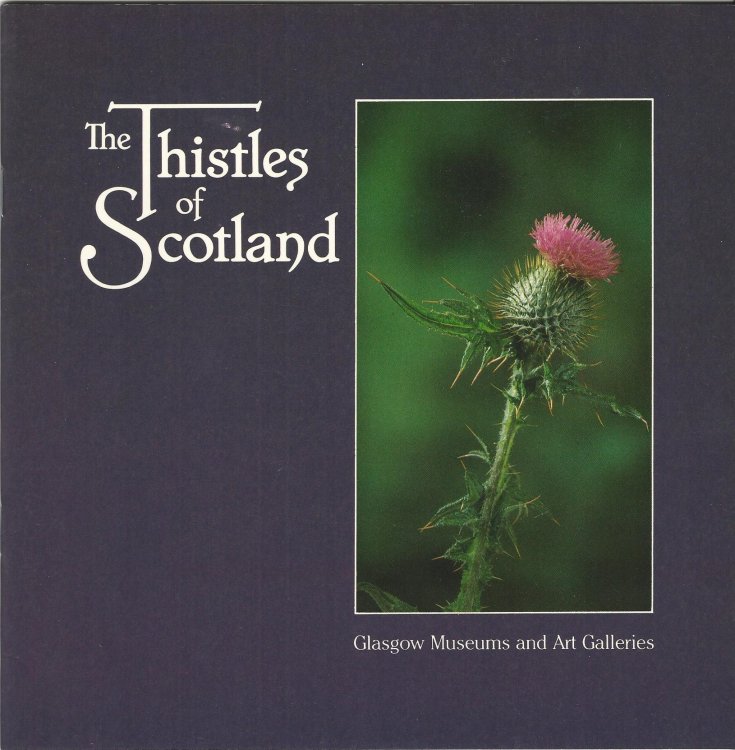 The Thistles of Scotland