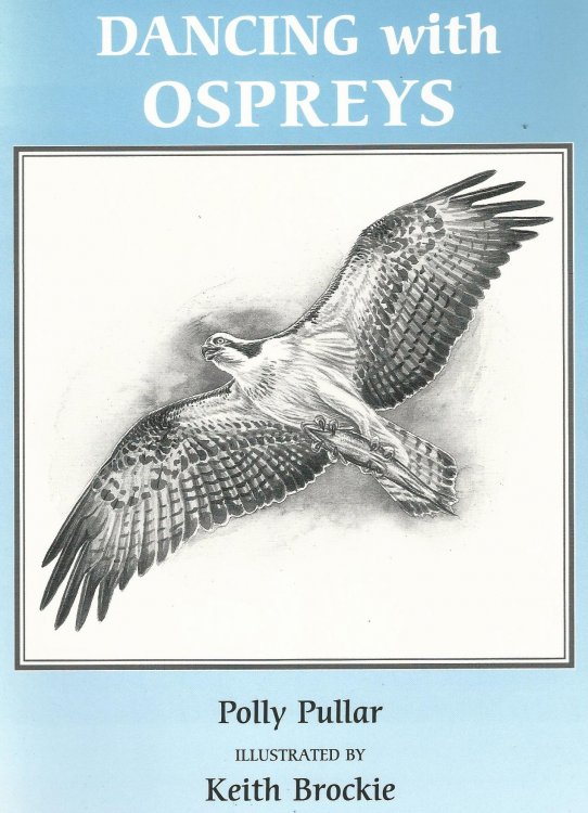 Dancing with Ospreys.