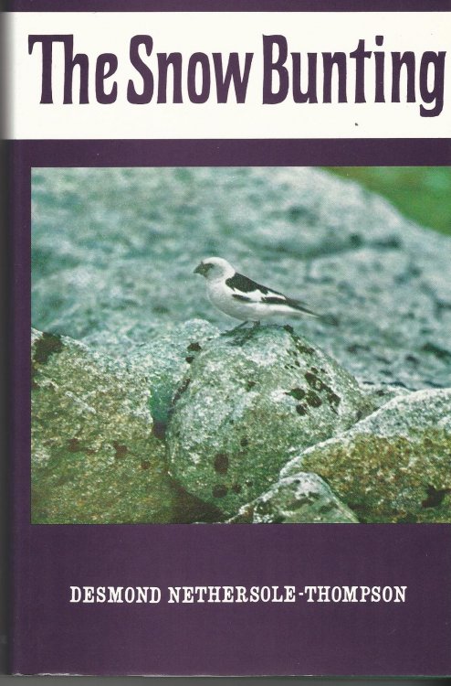 The Snow Bunting.