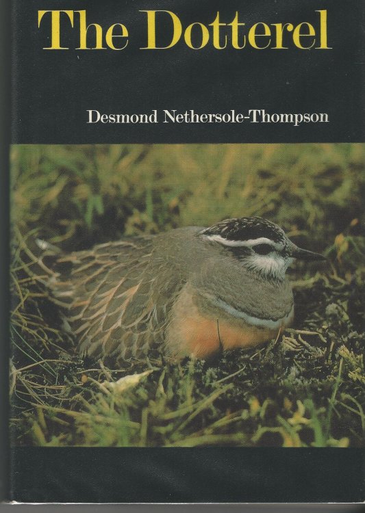 The Dotterel.