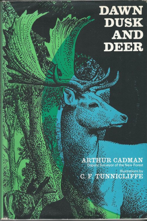 Dawn Dusk and Deer.