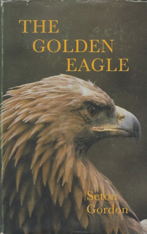 Golden Eagle: King of Birds.