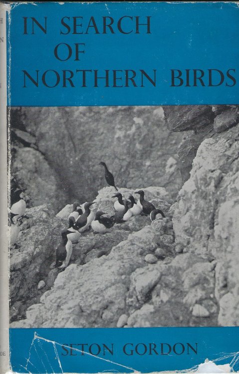 In Search of Northern Birds.
