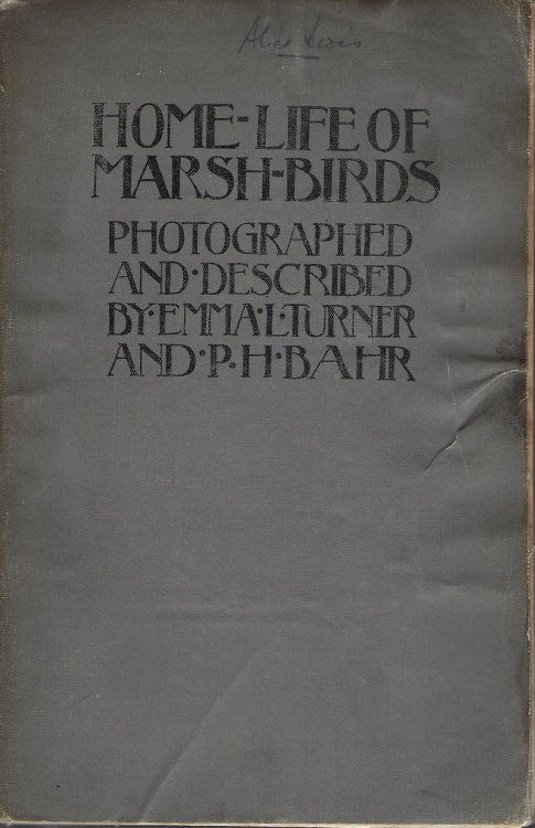 Home Life of Marsh Birds.