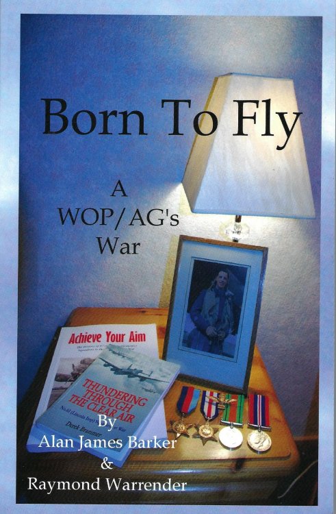 Born to Fly: A WOP/AG's War