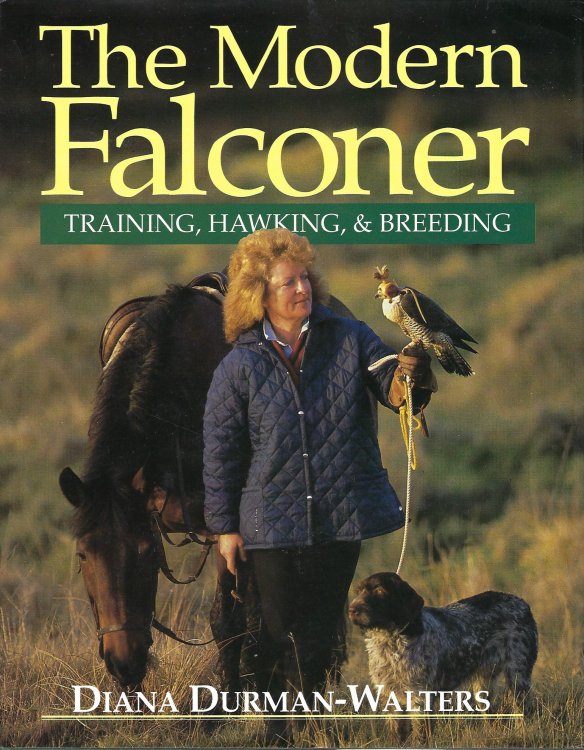 The Modern Falconer: Training, Hawking & Breeding
