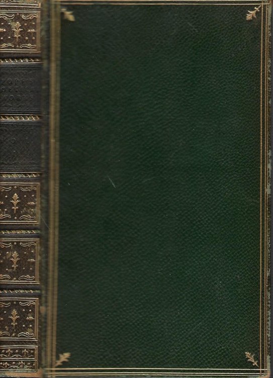 The Poetical Works of Alexander Pope in Three Volumes