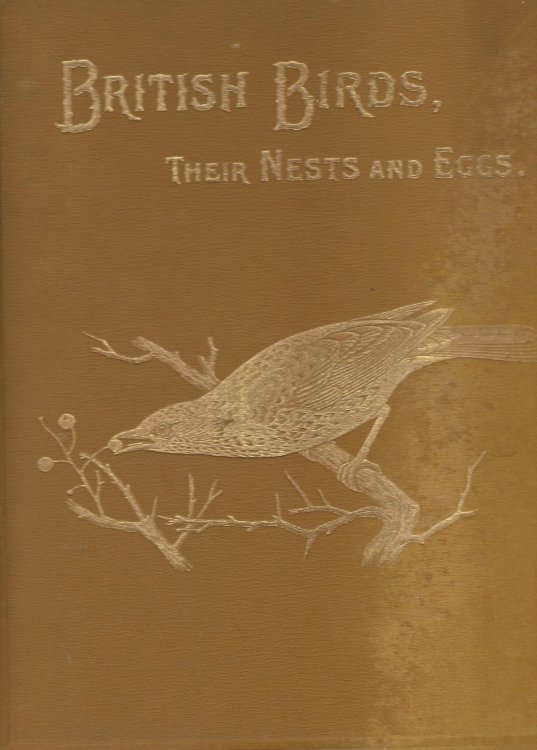 British Birds With Their Nests and Eggs, Six Volumes