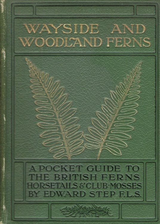 Wayside and Woodland Ferns