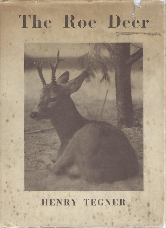 The Roe Deer Their History, Habits and Pursuit