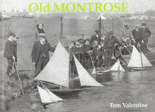 Old Montrose