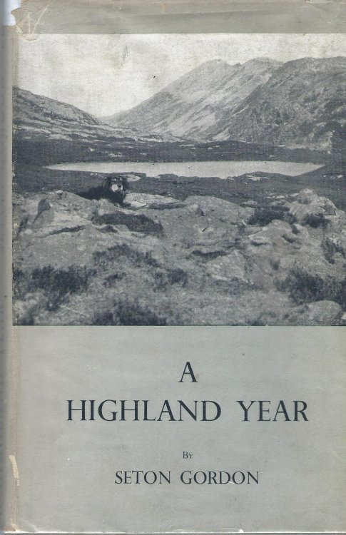 A Highland Year