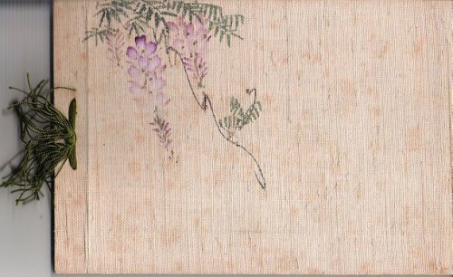 Japanese Views and Characters. (3 Volumes)