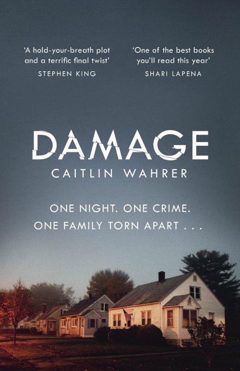 Damage: An unputdownable and emotionally gripping debut with a twist you wont see coming