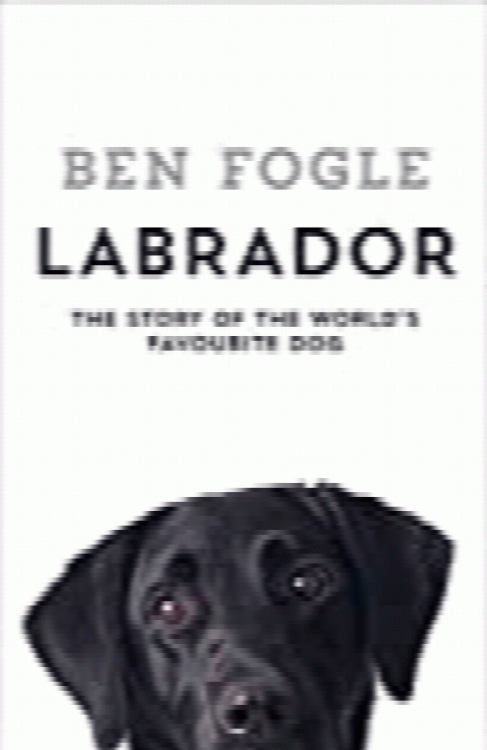 Labrador: The Story of the Worlds Favourite Dog